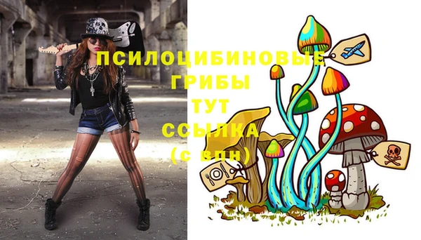 марки lsd Абаза